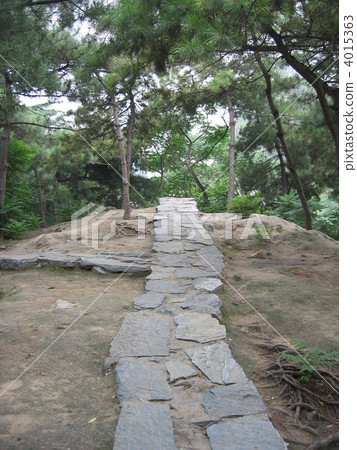 北京月球平台 北京月球平台 4015363