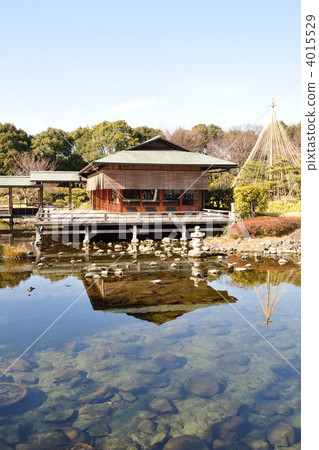 天鵝庭院在冬天 4015529