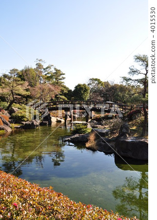 池塘在冬天天鵝庭院裡 4015530