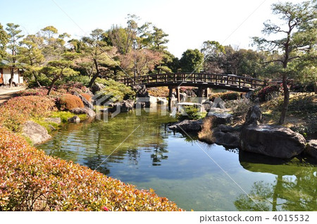 池塘在冬天天鵝庭院裡 4015532