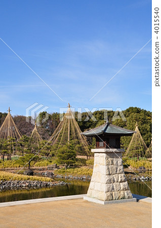 冬天的天鵝花園總是光和降雪 4015540