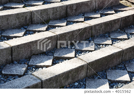 冬天藝術石步的天鵝庭院 冬天藝術石步的天鵝庭院 4015562