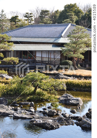 天鵝庭院在冬天 4015589