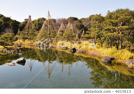天鵝庭院在冬天雪漁 4015613
