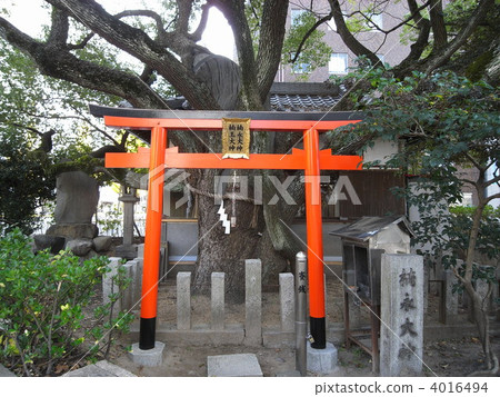 Toyukoen Kuninaga Ogami 4016494