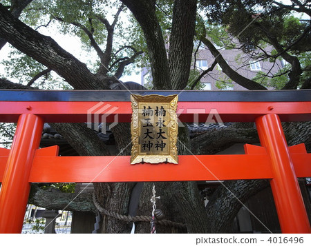 Toyukoen Kuninaga Ogami 4016496