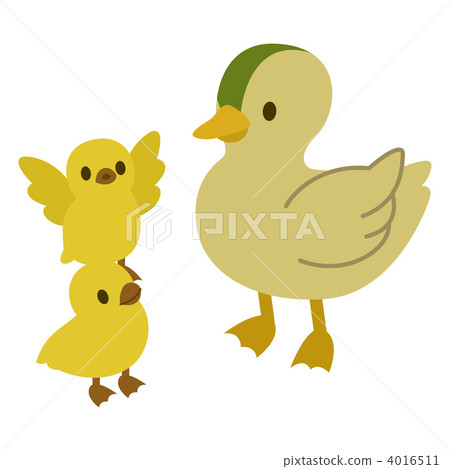 duck, bird, birds 4016511