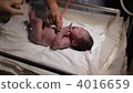 Childbearing, baby, infant 4016659