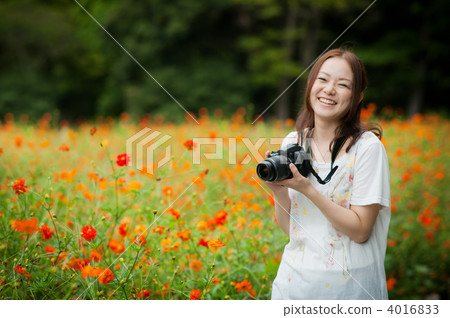 yellow cosmos, lifestyle, tokyo 4016833