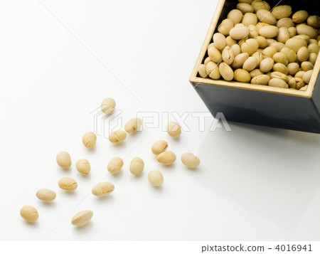 豆大豆 豆大豆 4016941