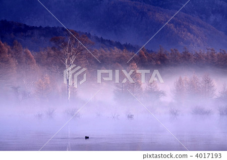 Phantom of Odashiro Lake and a lady 4017193