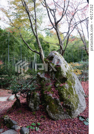 Naoyuan，巨石和落葉 4017282