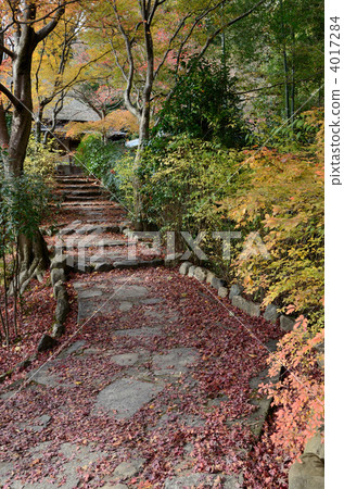 The approach of Najin-an 4017284