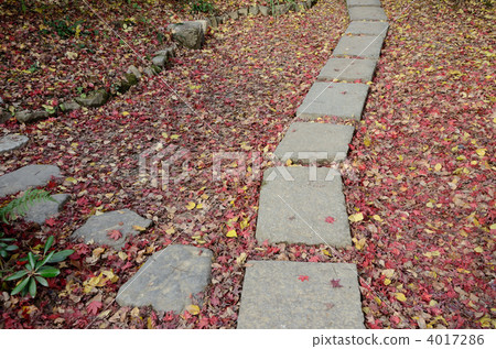 Naoyuan，接近鋪路石 4017286