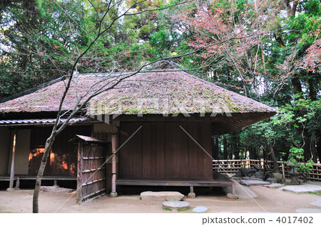 Shigeru Matsuan Shigeru Matsuan 4017402