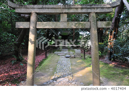 jizodo, Torii Gate, torii 4017404