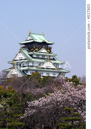 Osaka Castle and Sakura 4017803