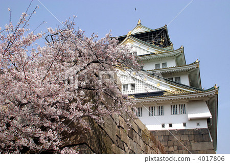 Osaka Castle and Sakura 4017806