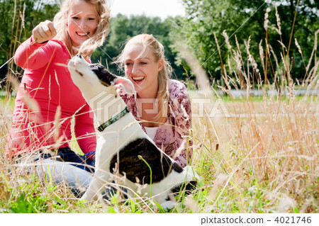 Playing with the dog in the sun Playing with the dog in the sun 4021746
