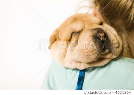 Loving my puppy Loving my puppy 4021804