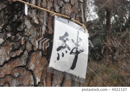消息綁在一棵樹上 4022187