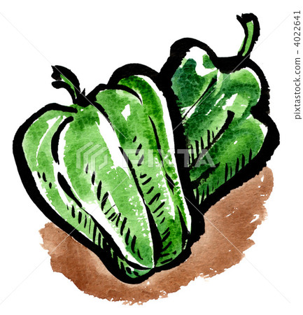 Green pepper 12124pix 4022641