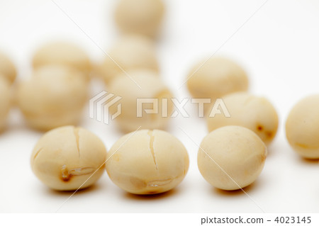 Roasted soybeans 4023145