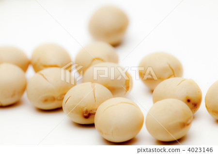 Roasted soybeans Roasted soybeans 4023146