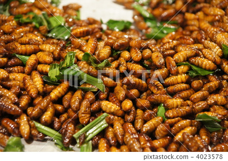 Thai stall insect 4023578