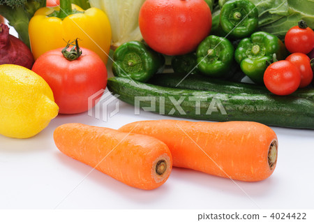 人參和蔬菜採集 4024422