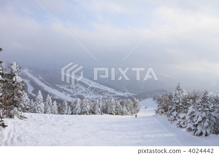 志賀高原滑雪勝地 志賀高原滑雪勝地 4024442