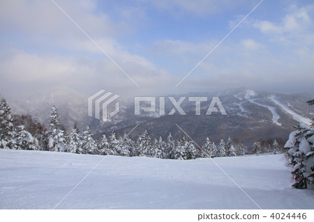 Shiga Kogen ski resort Shiga Kogen ski resort 4024446
