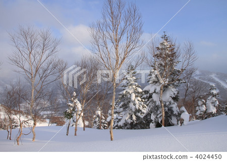 志賀高原滑雪勝地 4024450
