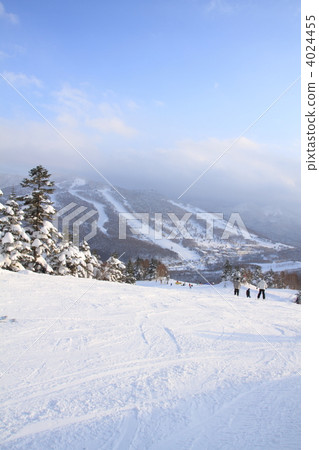 Shiga Kogen ski resort Shiga Kogen ski resort 4024455
