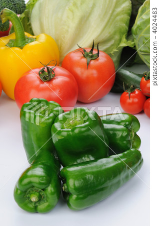 青椒和蔬菜聚會 4024483