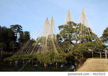 Karasugi-en Garden Karasaki Matsu 4025833