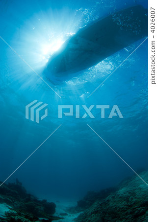 bottom of the ocean, seabed, in the sea 4026007