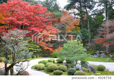 Manshuin Monk's Garden 4026738