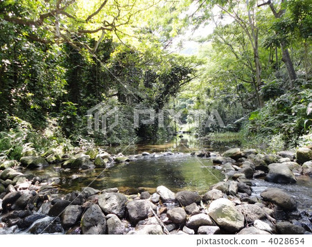 Negative ion in Waipio Valley 4028654