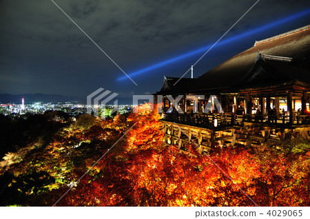 Shimizu no Yoru 4029065