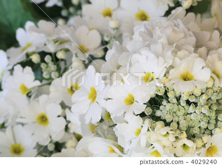 White Tama crispy saw roll from above 4029240