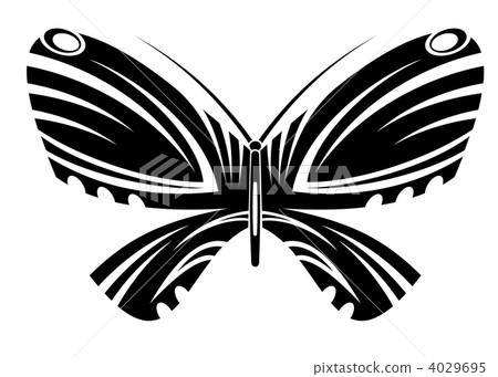 Butterfly tattoo Butterfly tattoo 4029695
