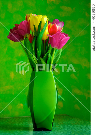 Tulips Tulips 4029890