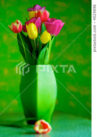 Tulips Tulips 4029896