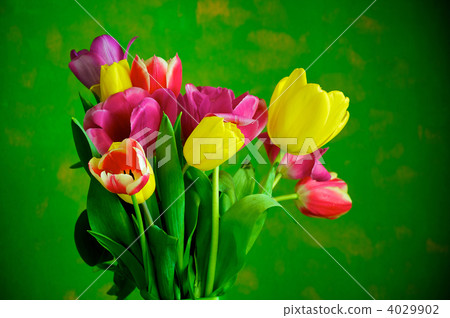 flower, flowers, lovely 4029902