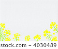 rape, rape blossoms, freehand 4030489