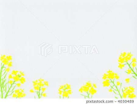 rape, rape blossoms, freehand 4030489