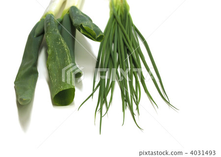 兩種大蔥 4031493