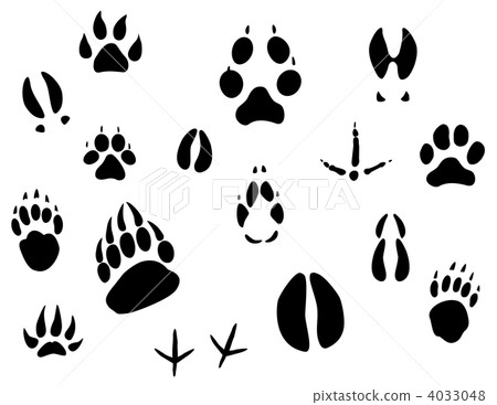 Animal footprints 4033048