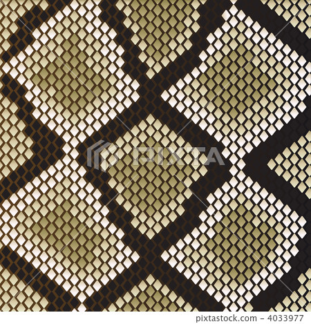 Snake skin Snake skin 4033977